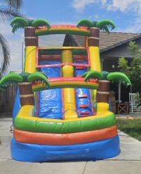 #109 Yellow Palm Tree Waterslide