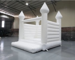 whiteBHclean 1719428873 #10 White Bounce House