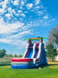 #110 Large Palm Tree Water Slide 16 Ft High