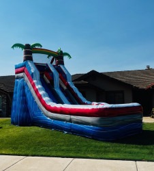 IMG 40751 1723337175 #110 Large Palm Tree Water Slide 16 Ft High