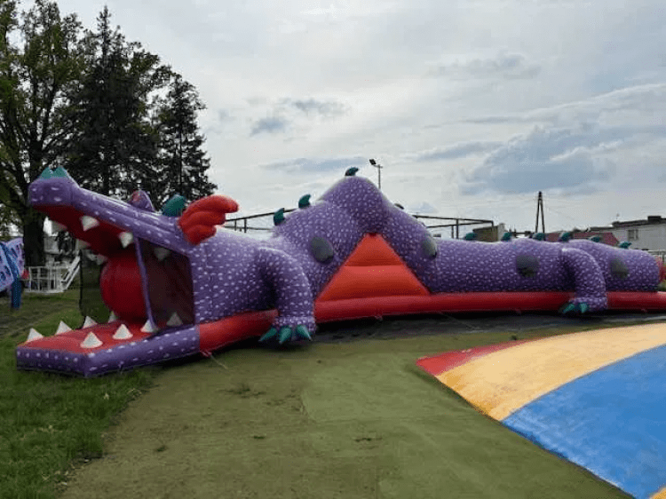 Go Gator Go Obstacle Course