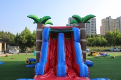 1000026747 1725903336 North Shore Combo Duel lane waterslide with Basketball Hoop