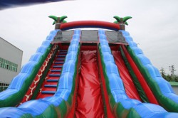 IMG 20240912 WA0004 1726233176 Party Rock 23 ft Duel Lane Waterslide with slip n slide