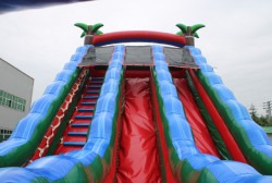 IMG 20240913 WA0001 1726232967 Party Rock 23 ft Duel Lane Waterslide