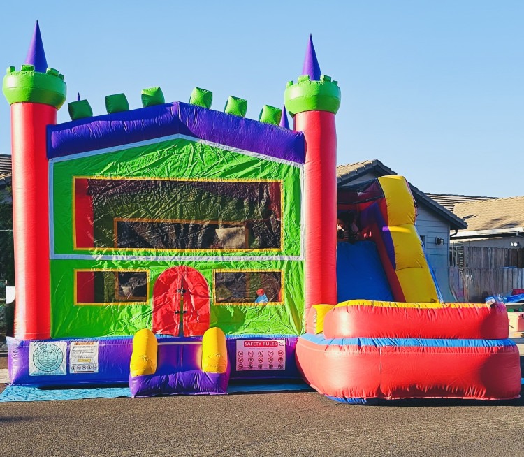 Fiesta De Carnival Dry Slide