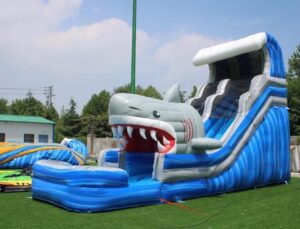 Combo Bounce Houses