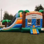 Best Themes For Bounce House Parties In 2026